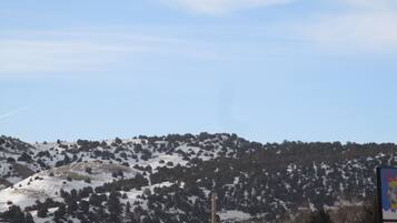 Une montagne enneigée, parsemée d’arbres, sous un ciel dégagé.
