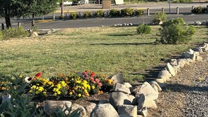 A landscaped area with a variety of plants and rocks, a paved road, and distant hills. - El Rancho Motel (Thermopolis)