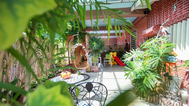 An indoor garden with a brick wall, a slide, and various plants. - Love in Pearl Hostel (Dongshan)