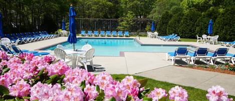 Piscine couverte, piscine extérieure, chaises longues
