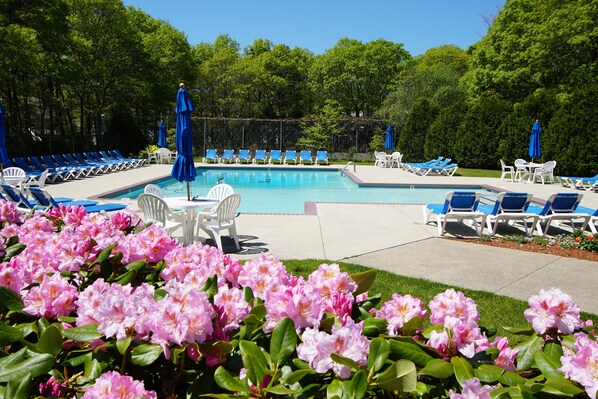 A pool area with blue lounge chairs and white chairs, surrounded by pink flowers and greenery.
