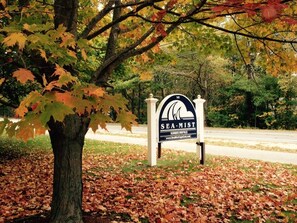 A sign for SeaMist summer rentals with a tree and fallen leaves in the foreground.