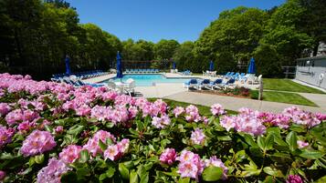 Piscina interna, piscina externa, espreguiçadeiras