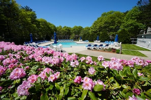 Piscina interna, piscina externa, espreguiçadeiras