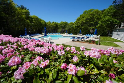 Sea Mist Resort