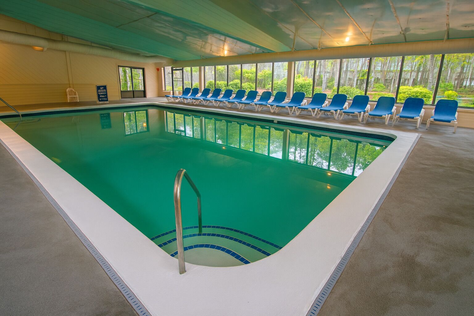 Piscina interior con vistas claras al follaje circundante a través de amplios ventanales.