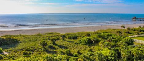 Ein Strand mit einer Seebrücke, üppiger Vegetation und blauem Himmel.