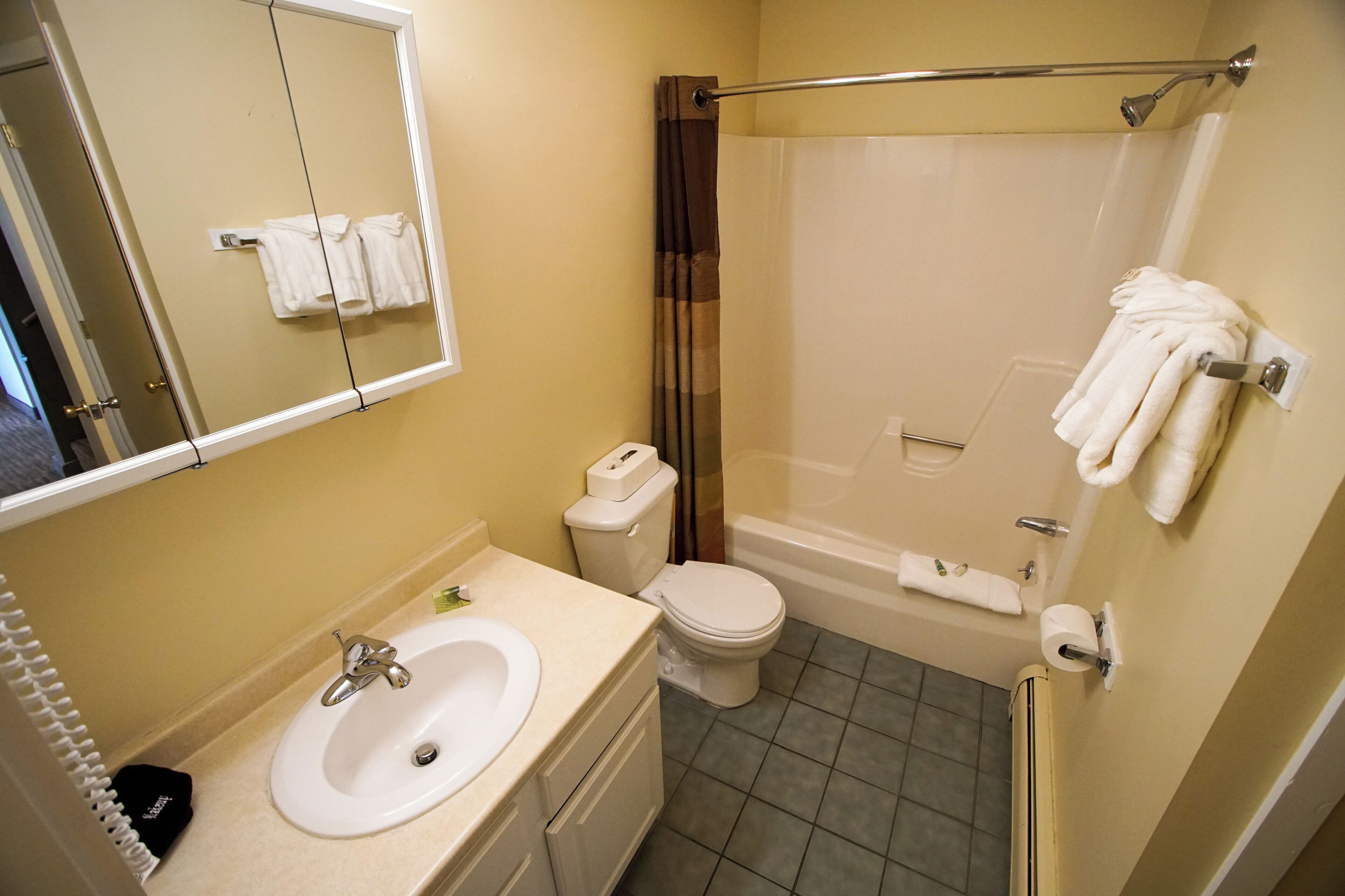 Een badkamer met een wastafel, toilet en douche.