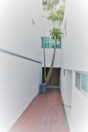 Hallway - Hotel Suites Victoria (San Luis Potosi)