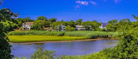 A serene lakeside view with houses, lush greenery, and a clear blue sky.