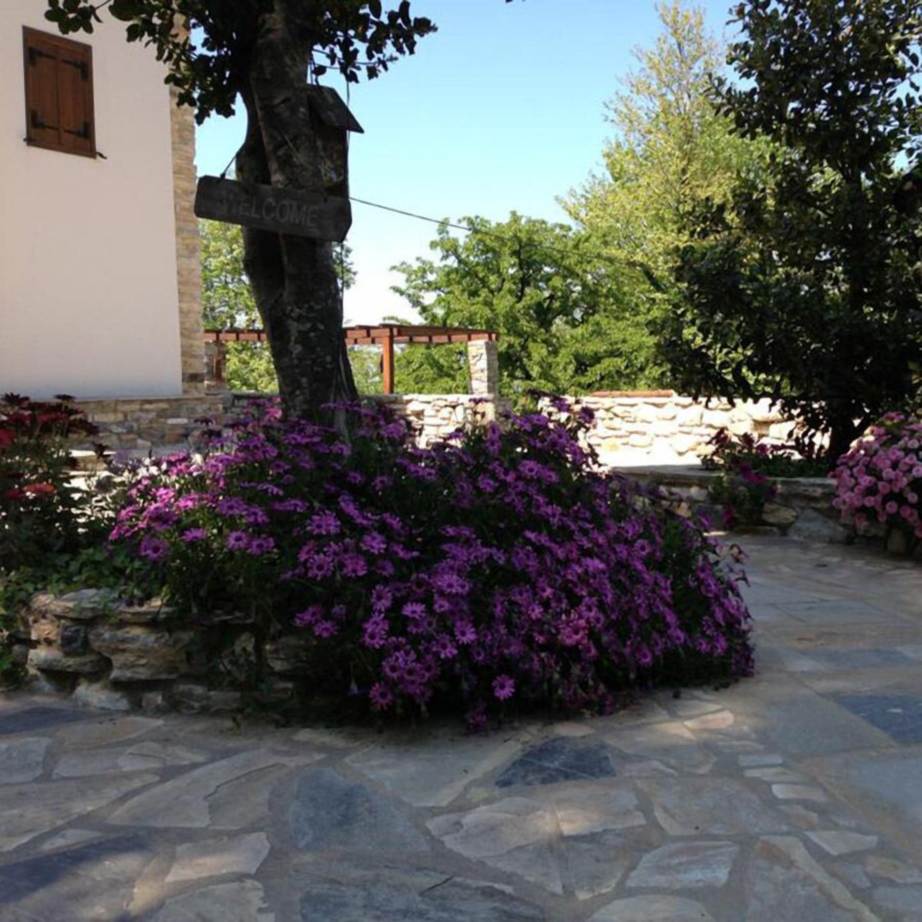 A stone pathway leading to a white building with a wooden window.