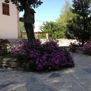 Property grounds - Mountain's Secret (Zagora-Mouresi)