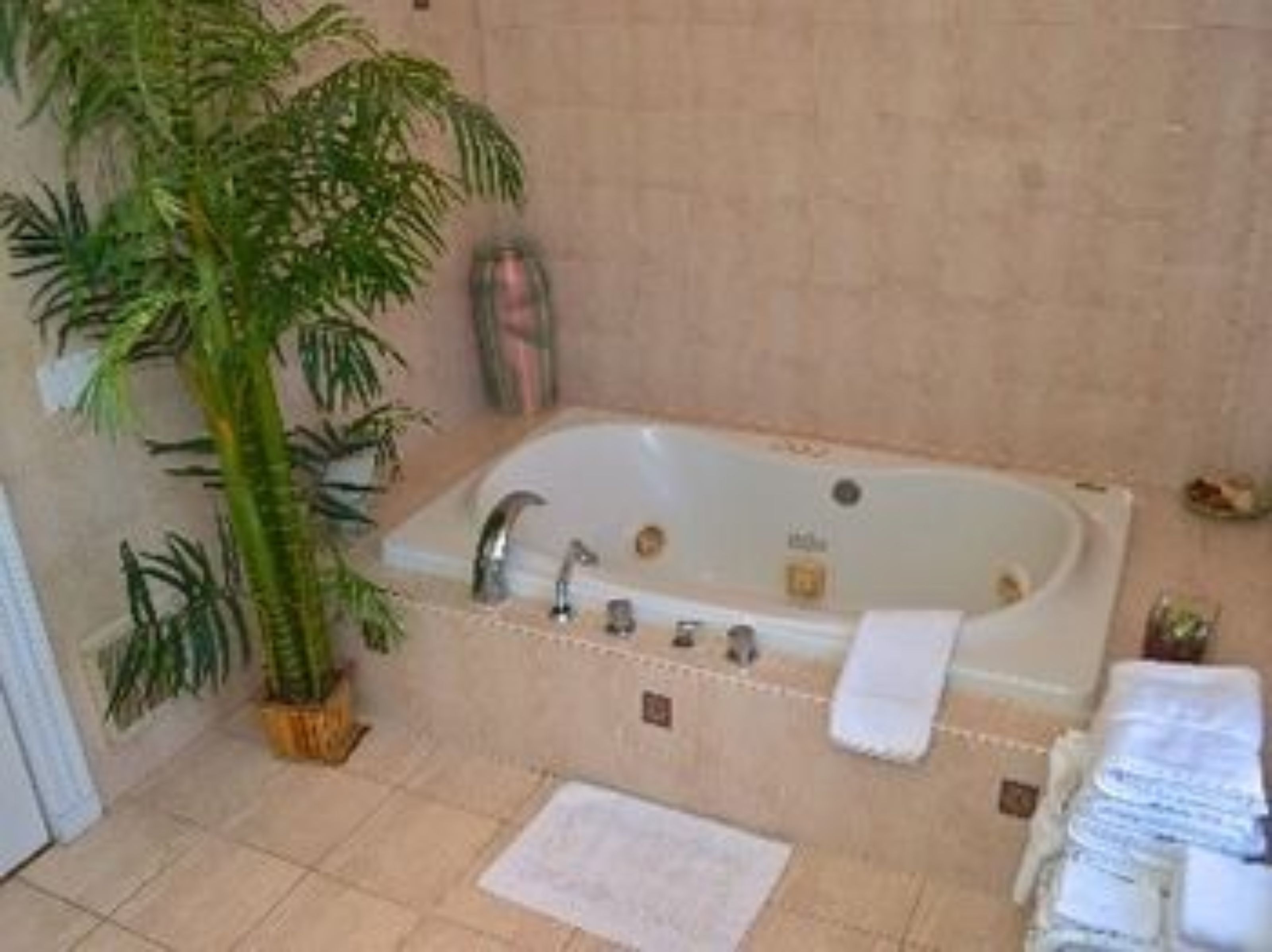 jetted bathtub