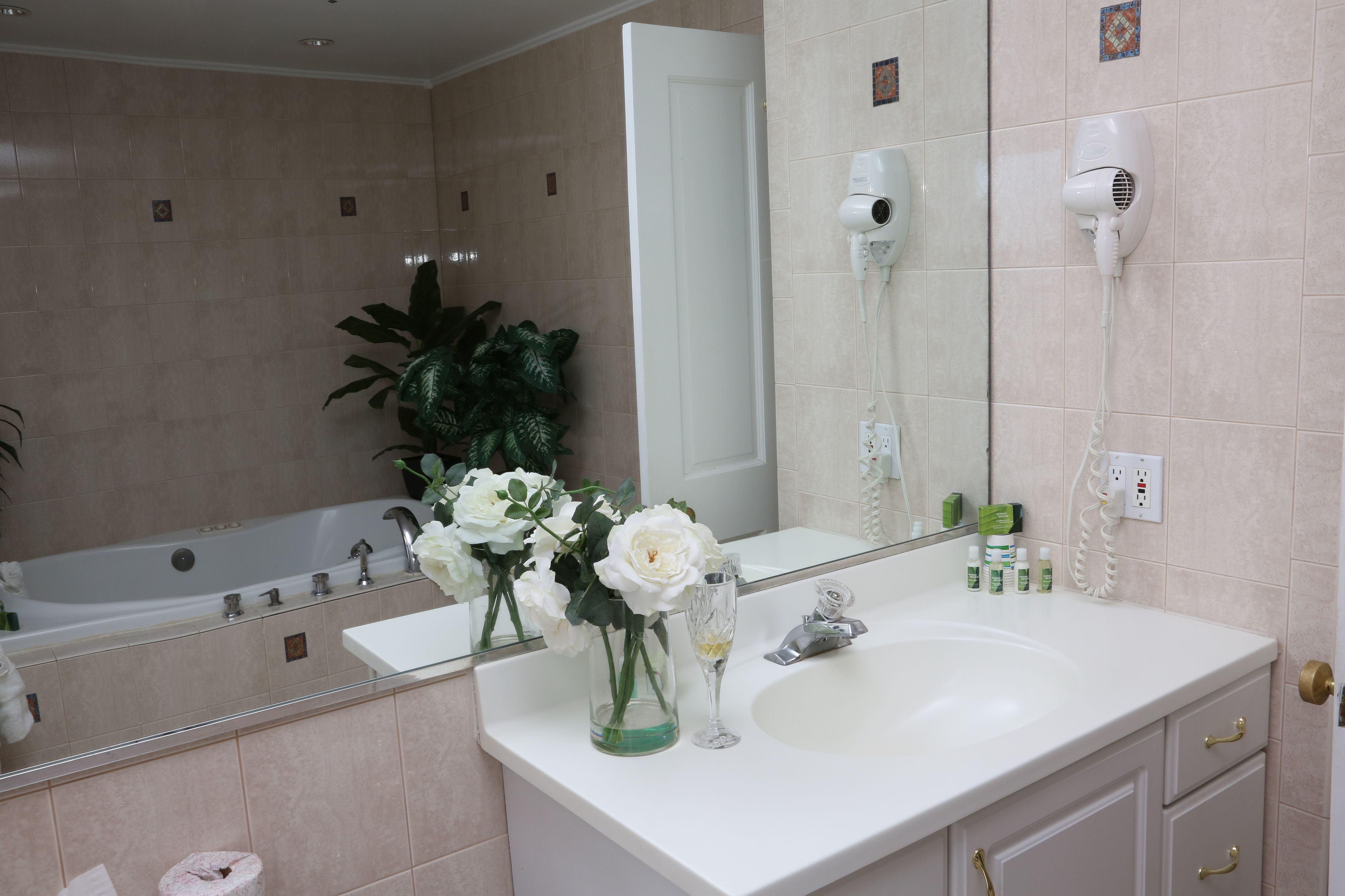 jetted bath, free toiletries, hair dryer, towels