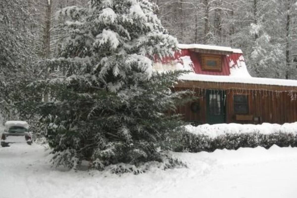 A cabin with a snow-covered roof, surrounded by trees and a snow-covered ground.