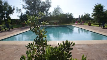 Outdoor pool, pool loungers