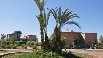 Steam room, Turkish bath, body scrubs, detox wraps, facials