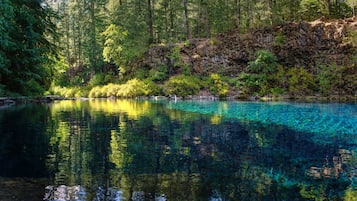 Una piscina turquesa y cristalina rodeada de un bosque frondoso.