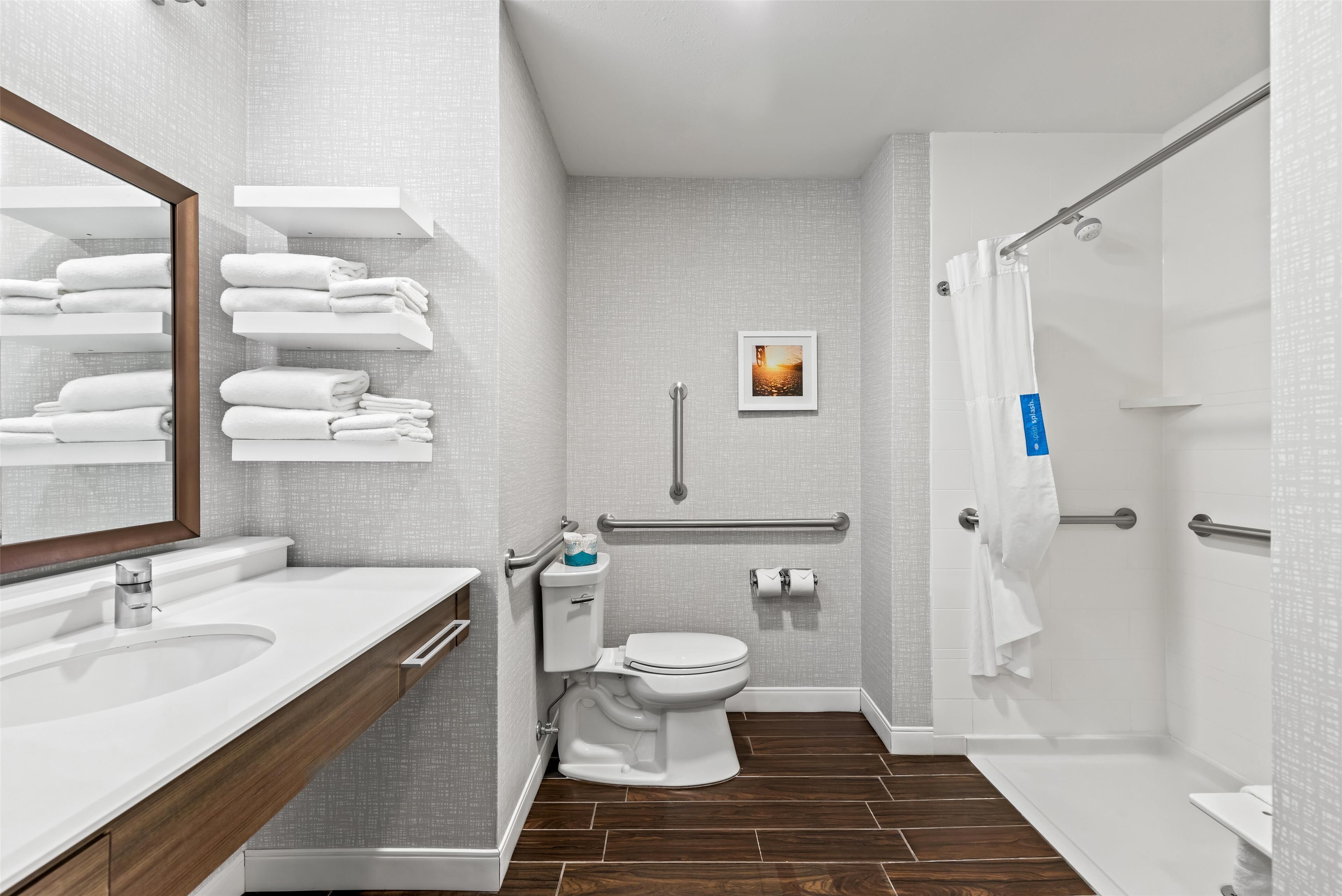 room, 1 king bed, accessible, non smoking (roll-in shower) | bathroom shower