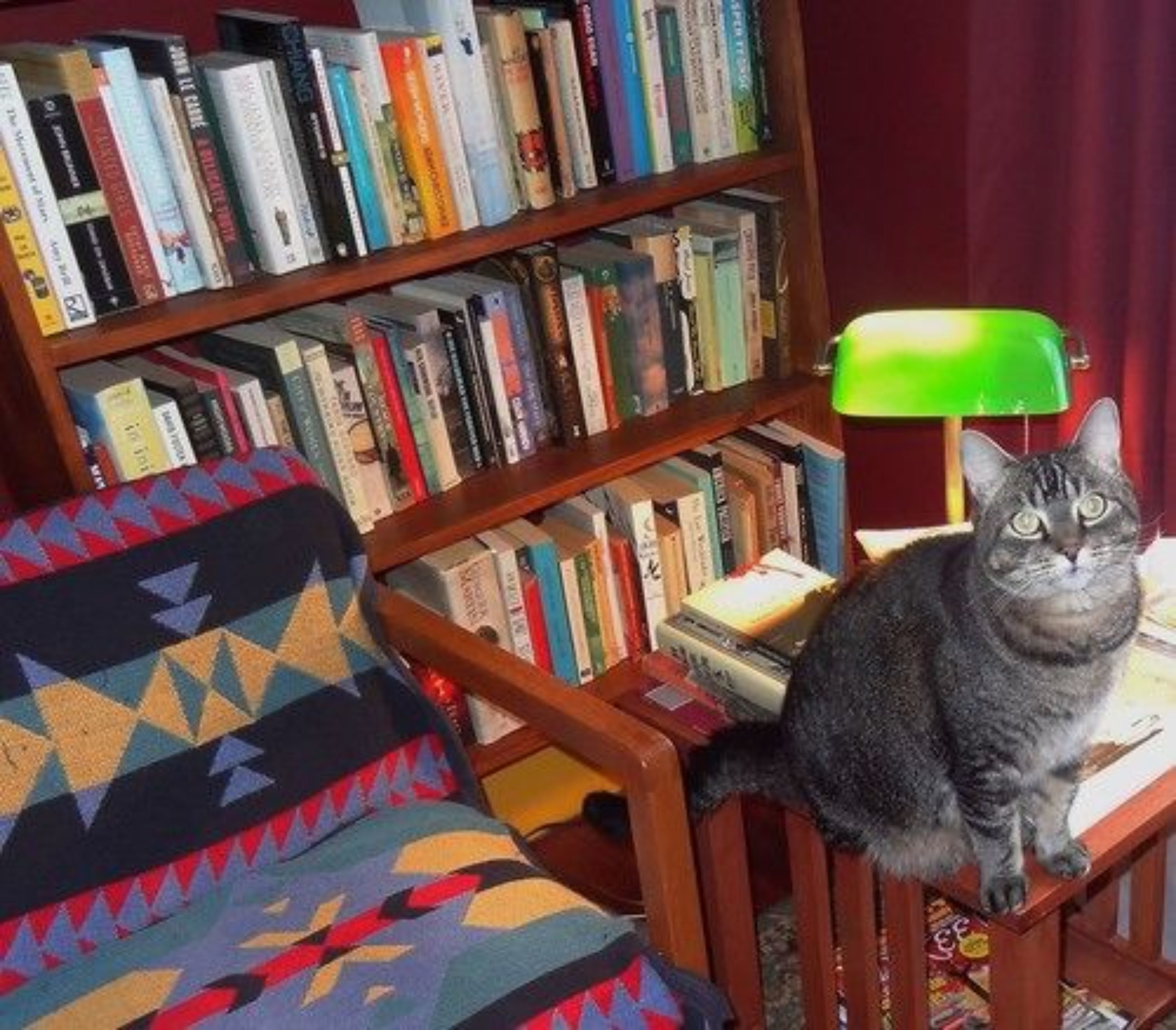 A room with a bookshelf filled with books, a patterned sofa, and a cat sitting on a wooden chair.