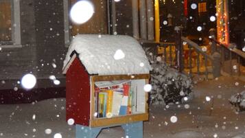 A snow-covered bookcase outside a building at night.