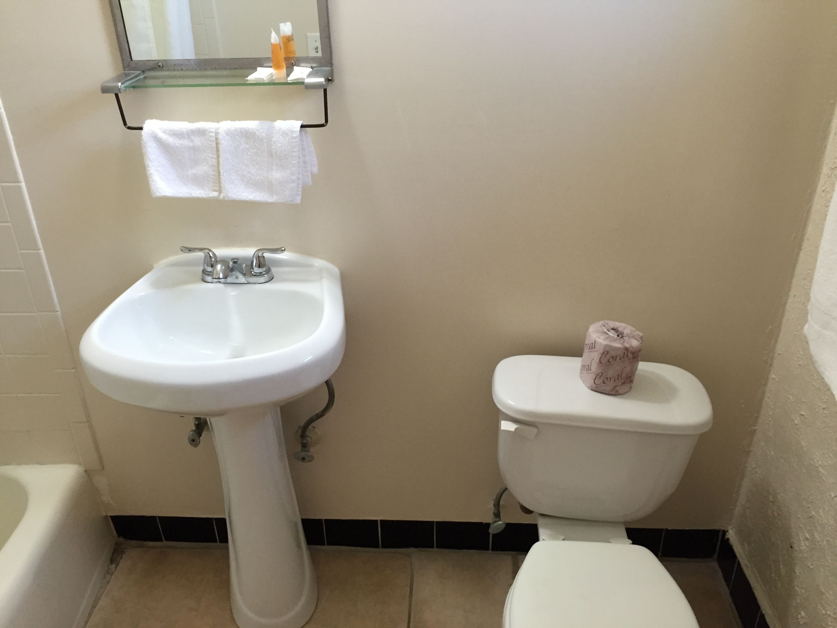 A bathroom with a white sink, a toilet, and a glass shelf above the sink.