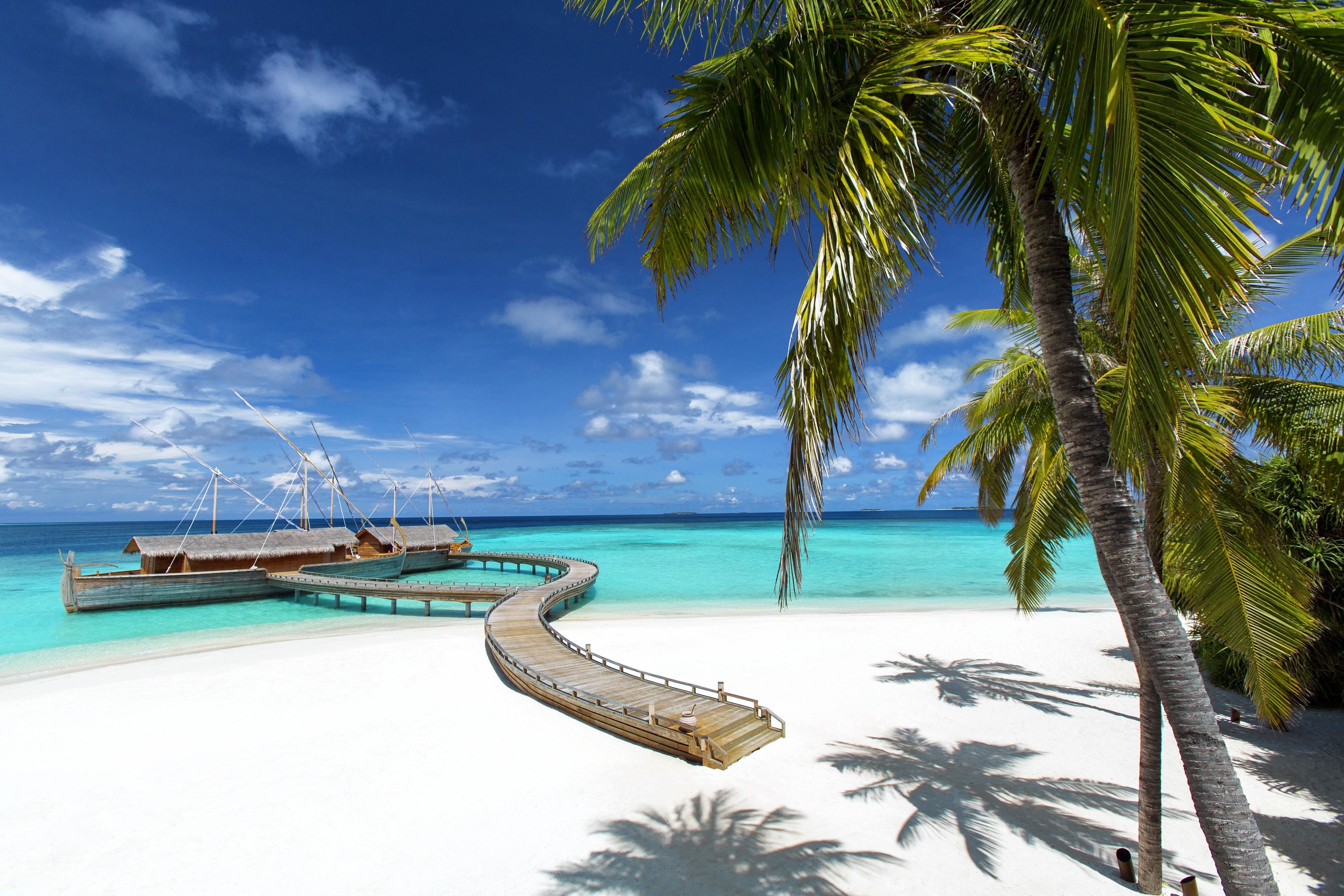 Ein Strand mit Überwasservillen, einer Holzpromenade und Palmen.