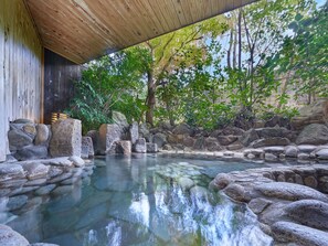 Aguas termales