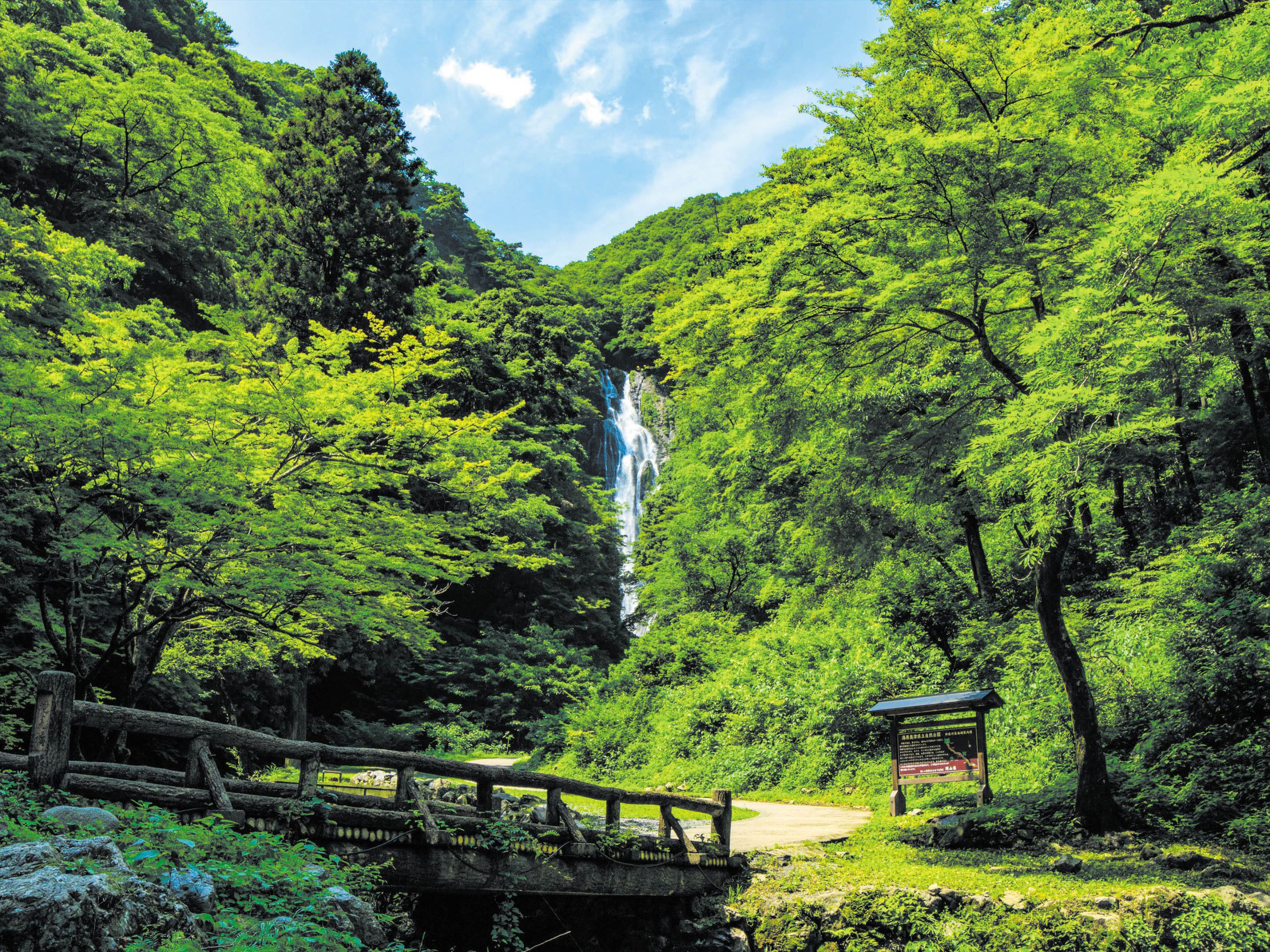 Paisaje natural con cascada, vegetación exuberante y un puente de madera.