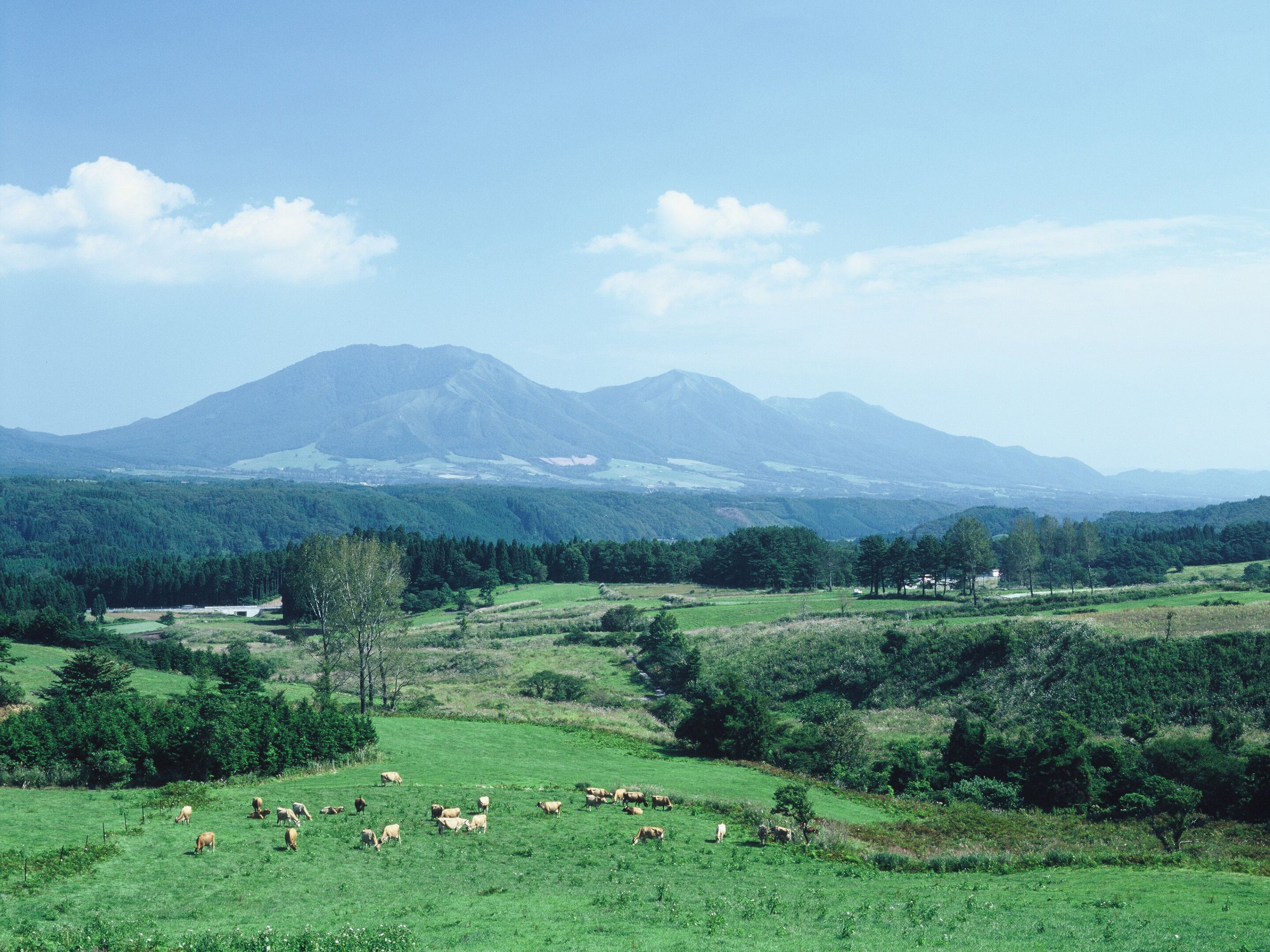 A rural landscape with a mountain range in the background, green fields, and scattered trees.