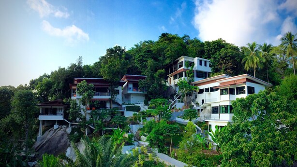 A hillside residential area with modern multi-story houses surrounded by lush greenery and palm trees.