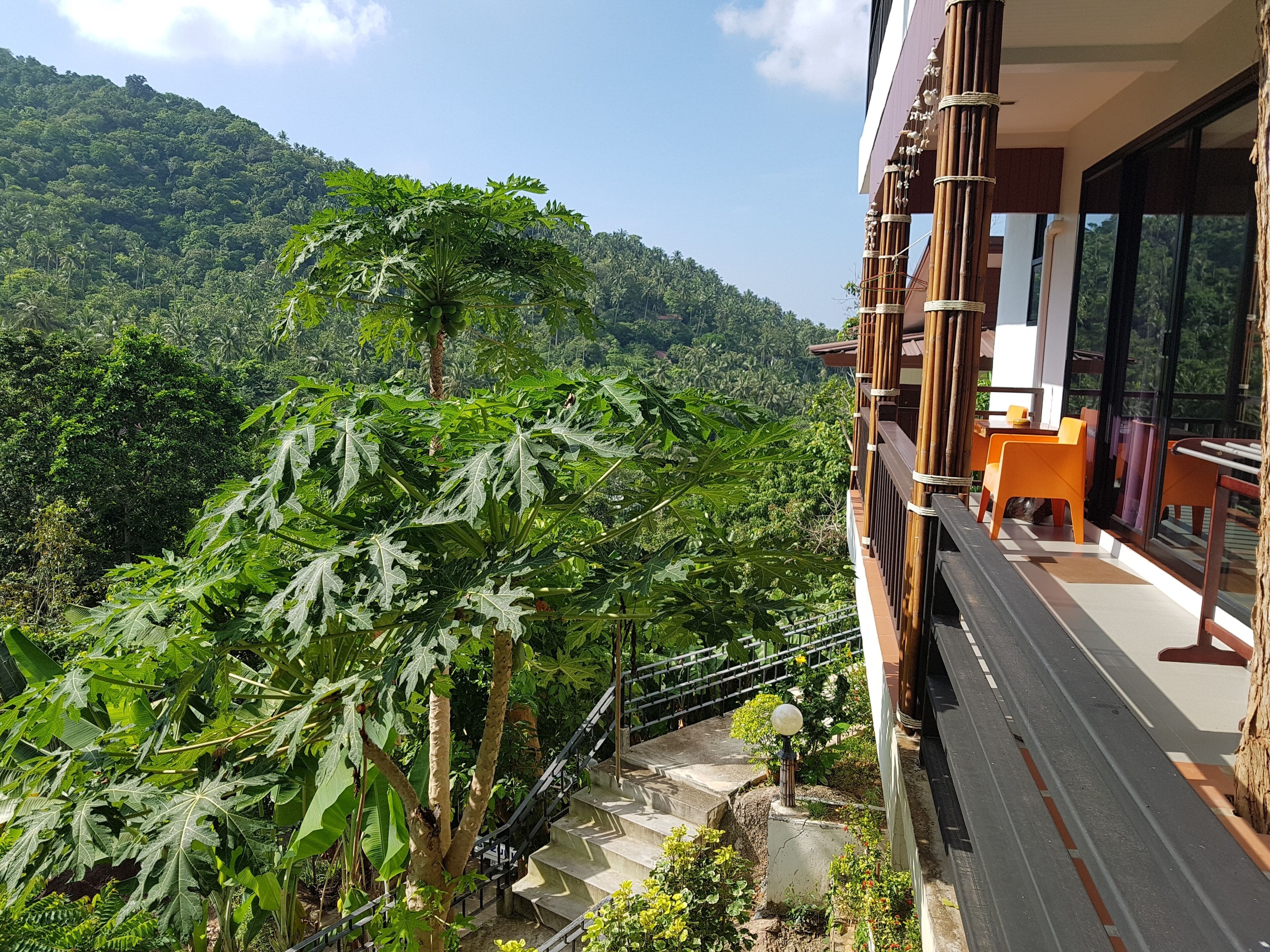 Photo - Balcony Villa