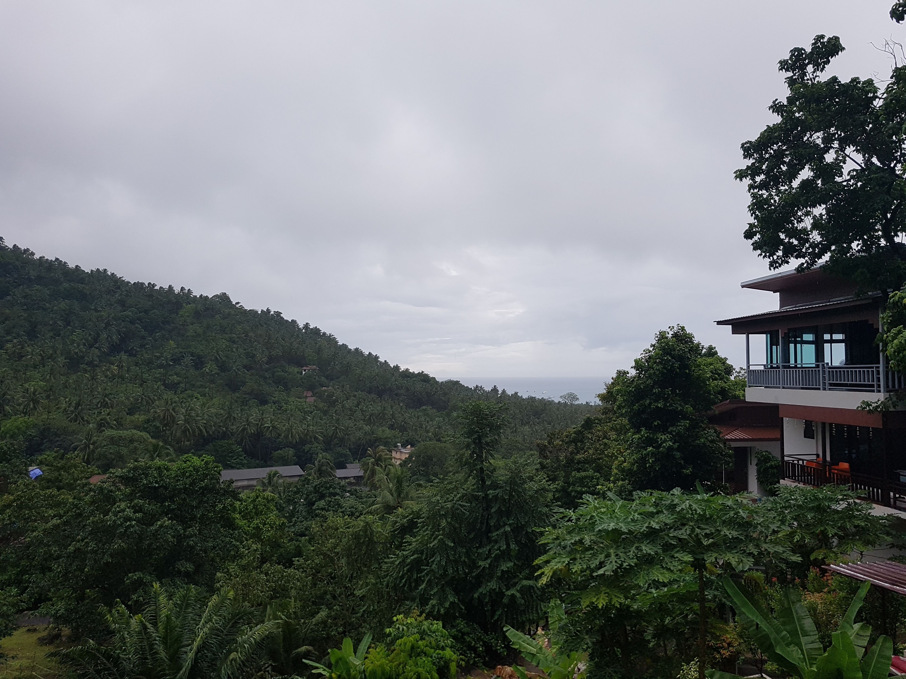 studio, 1 bedroom, sea view | view from room