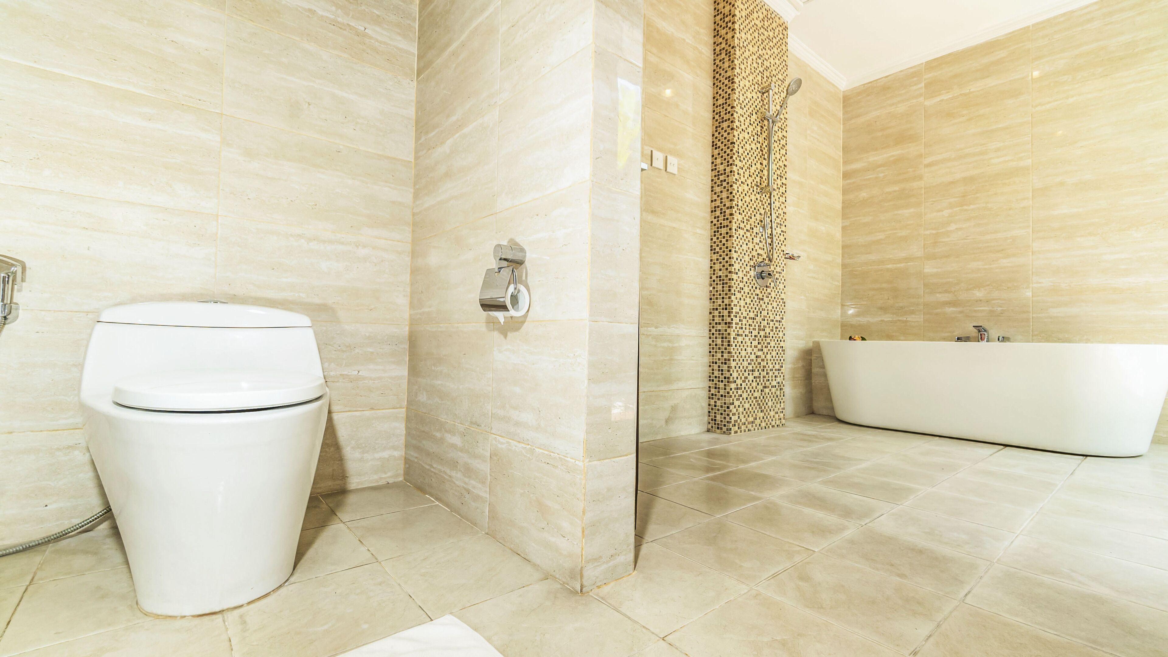 A modern bathroom with a toilet, a shower area, and a bathtub.