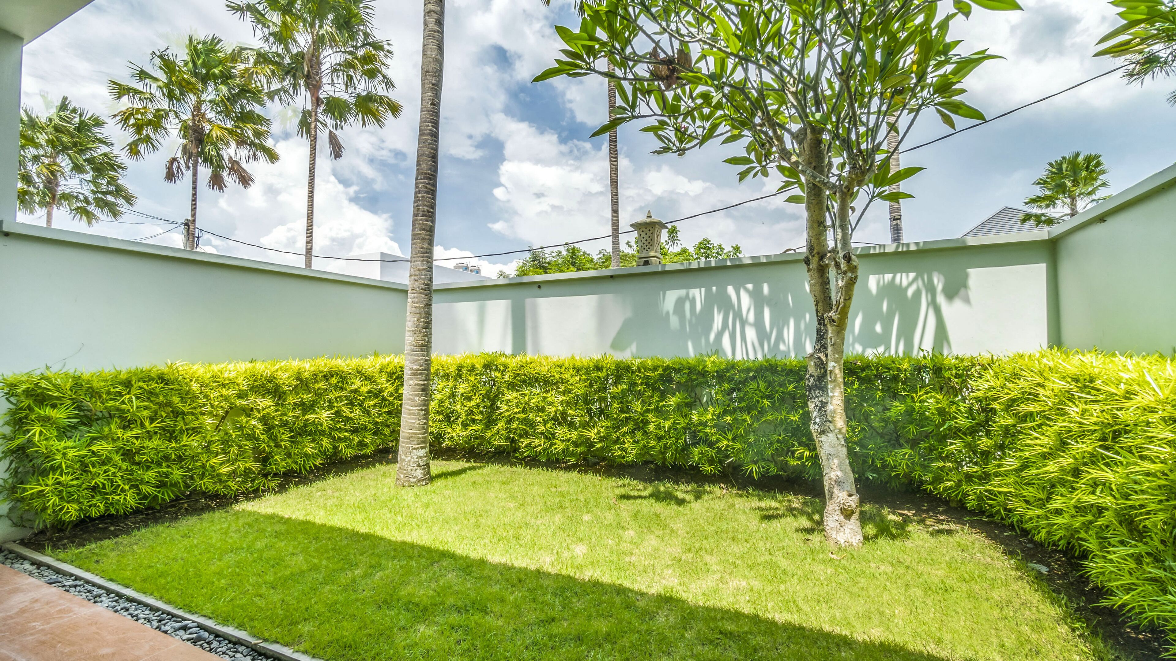 A well-maintained garden with a neatly trimmed hedge, a grassy lawn, and tall palm trees.