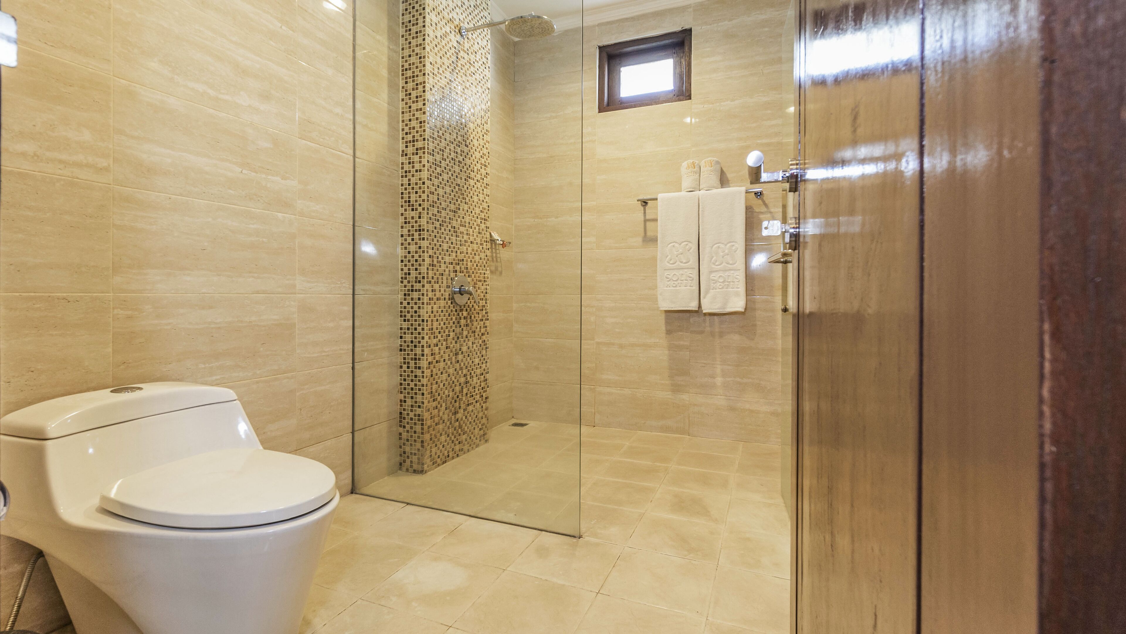 Une salle de bain avec des toilettes, une douche dotée d’une porte en verre et une porte en bois.