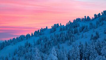 Encosta de montanha coberta de neve com árvores coníferas densas.
