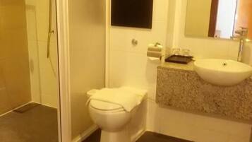 A bathroom with a toilet, a sink, and a shower.