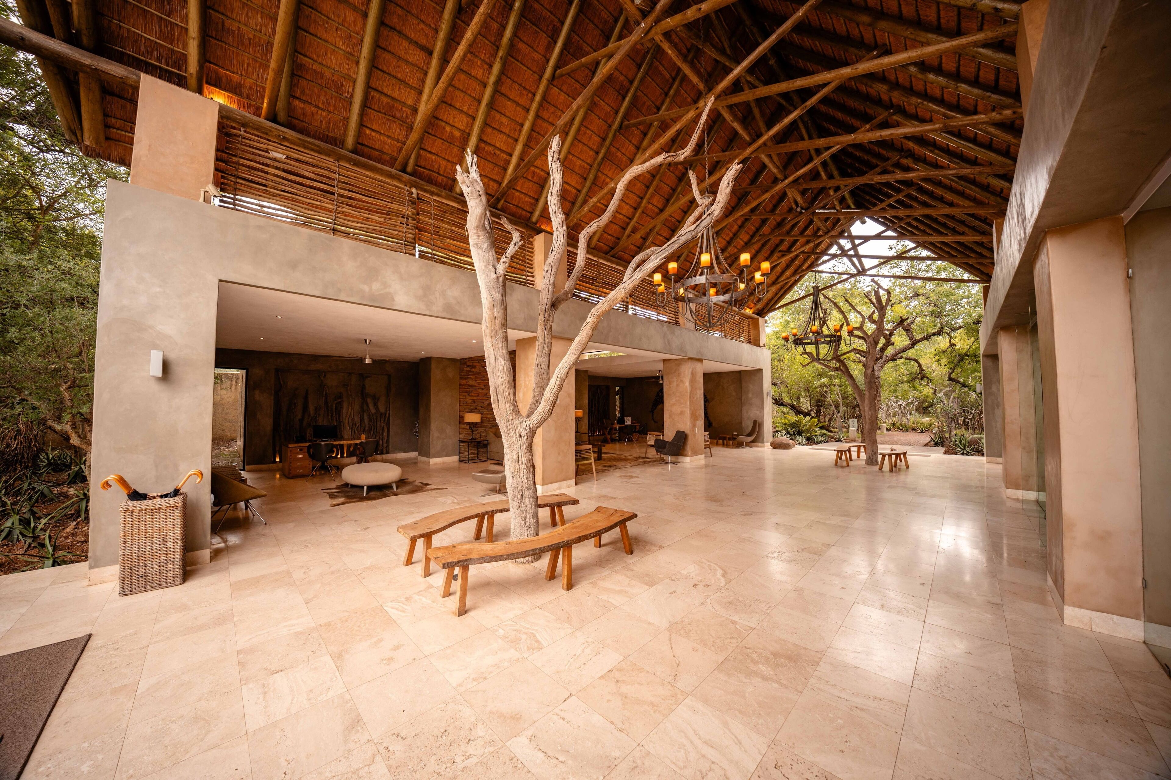 Un hall spacieux avec un plafond haut, des bancs en bois, un arbre au centre et une structure avec un toit de chaume.