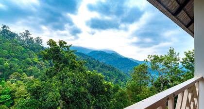 Tea Harvester Munnar