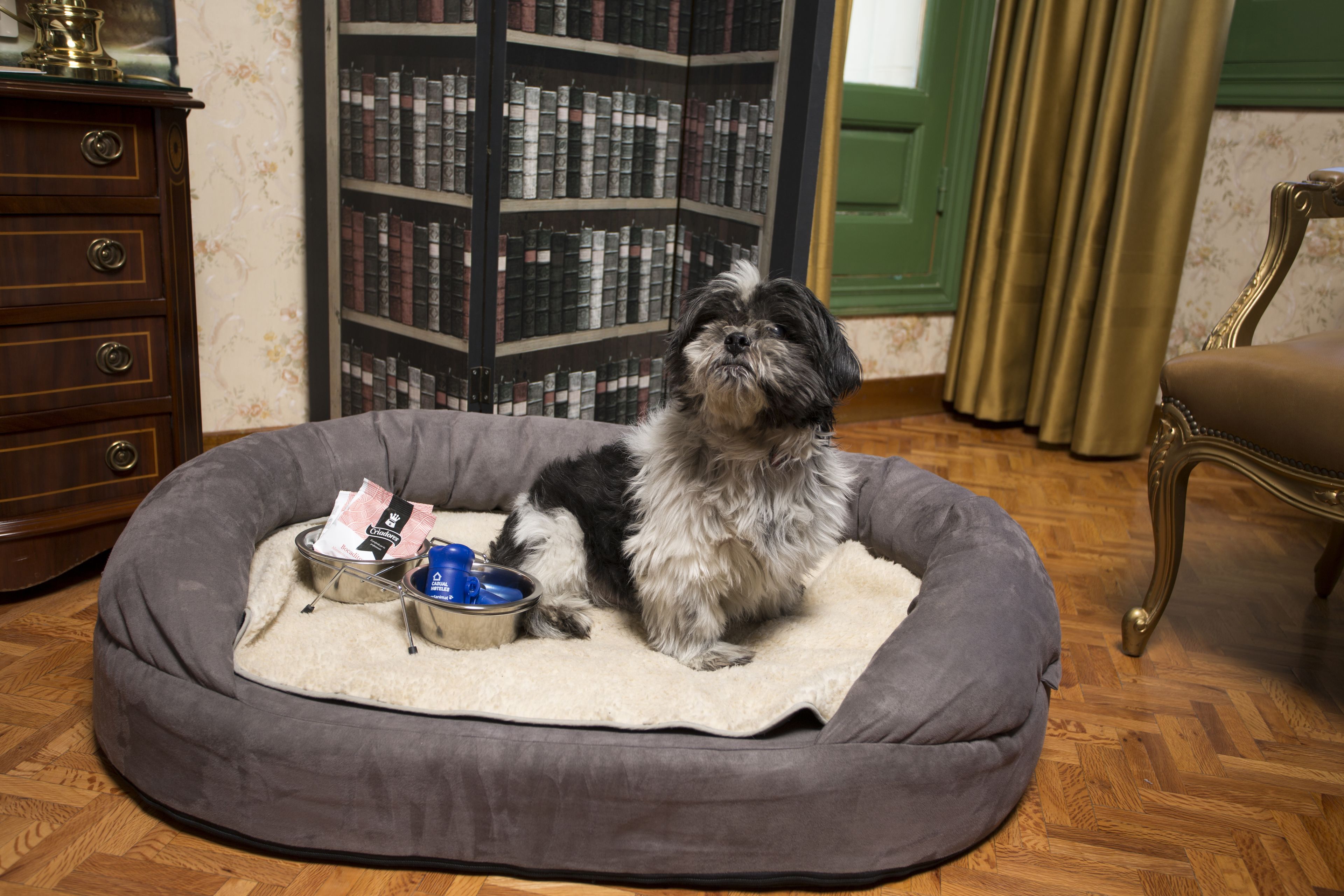 pet-friendly amenities