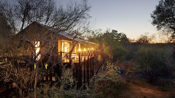 Tenda Luxury (Buffalo Camp) | 1 camera, biancheria da letto di alta qualità, minibar