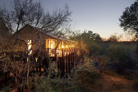 Luxury Tent (Buffalo Camp) | 1 bedroom, premium bedding, minibar, in-room safe