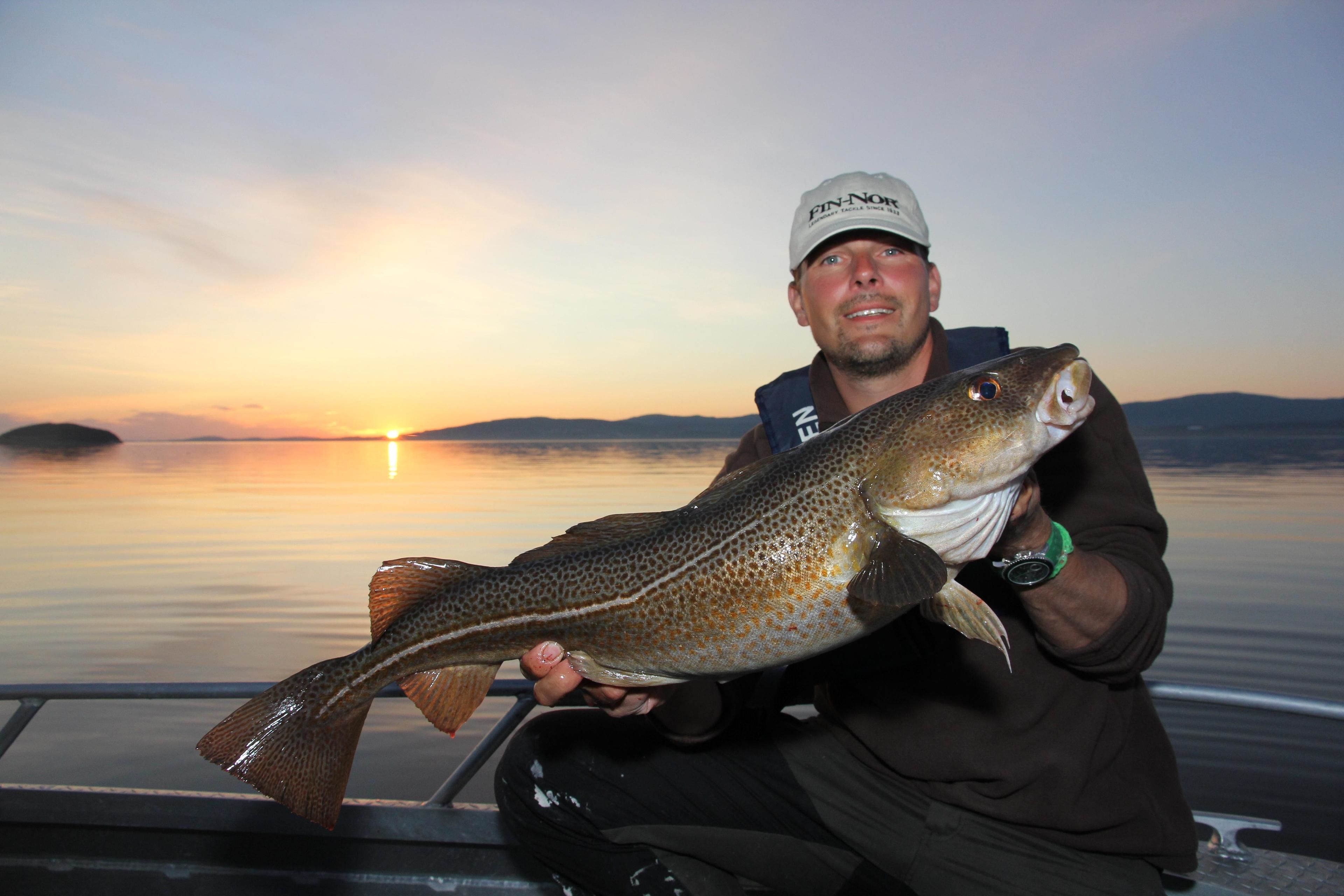 A person holding a fish on a boat with a sunset in the background.