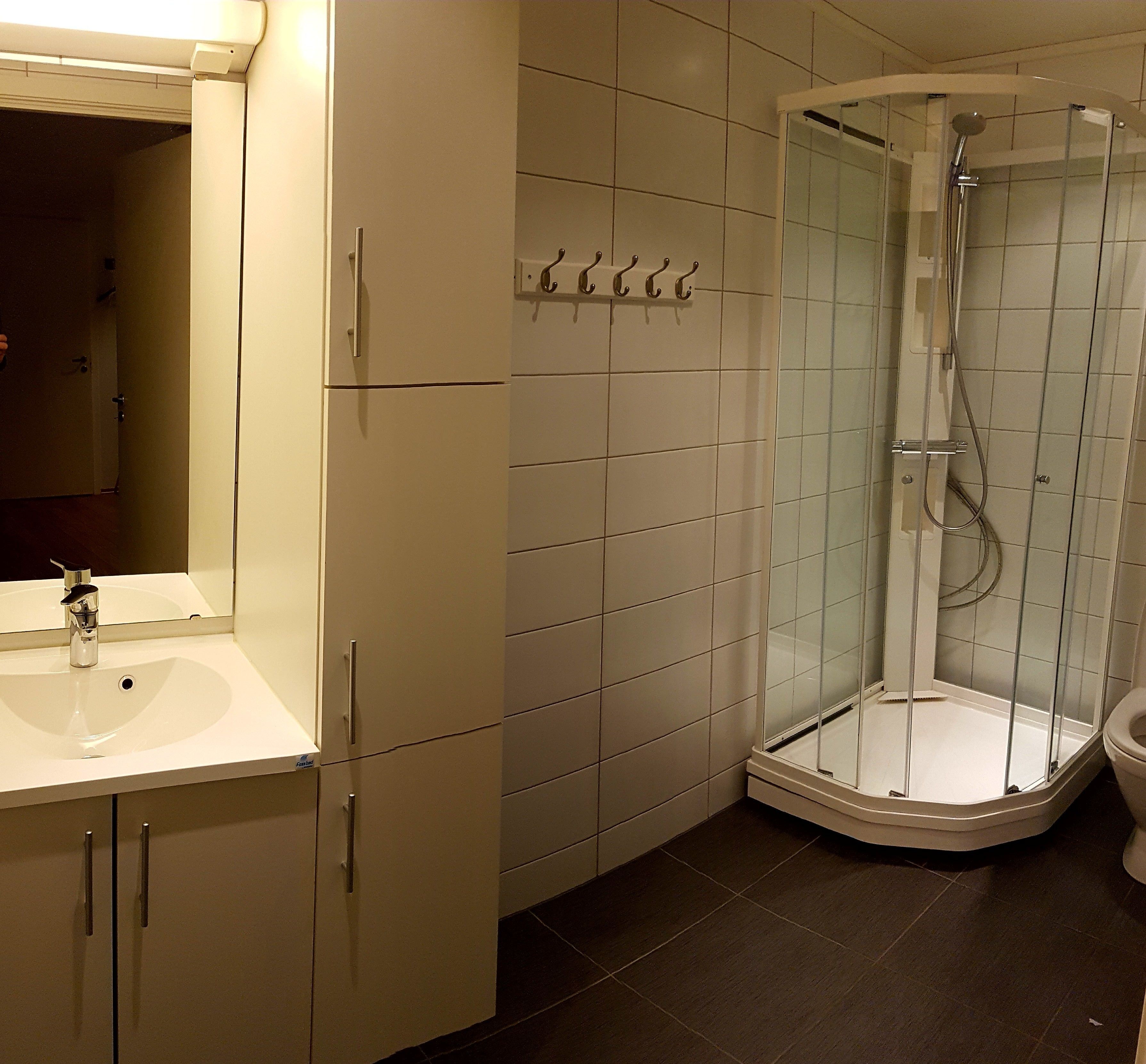 Un baño con ducha, inodoro y lavabo.