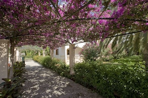 A pathway lined with lush greenery and purple flowering trees, leading to a building with a white facade and a balcony. - Globales Isabel (Son Servera)