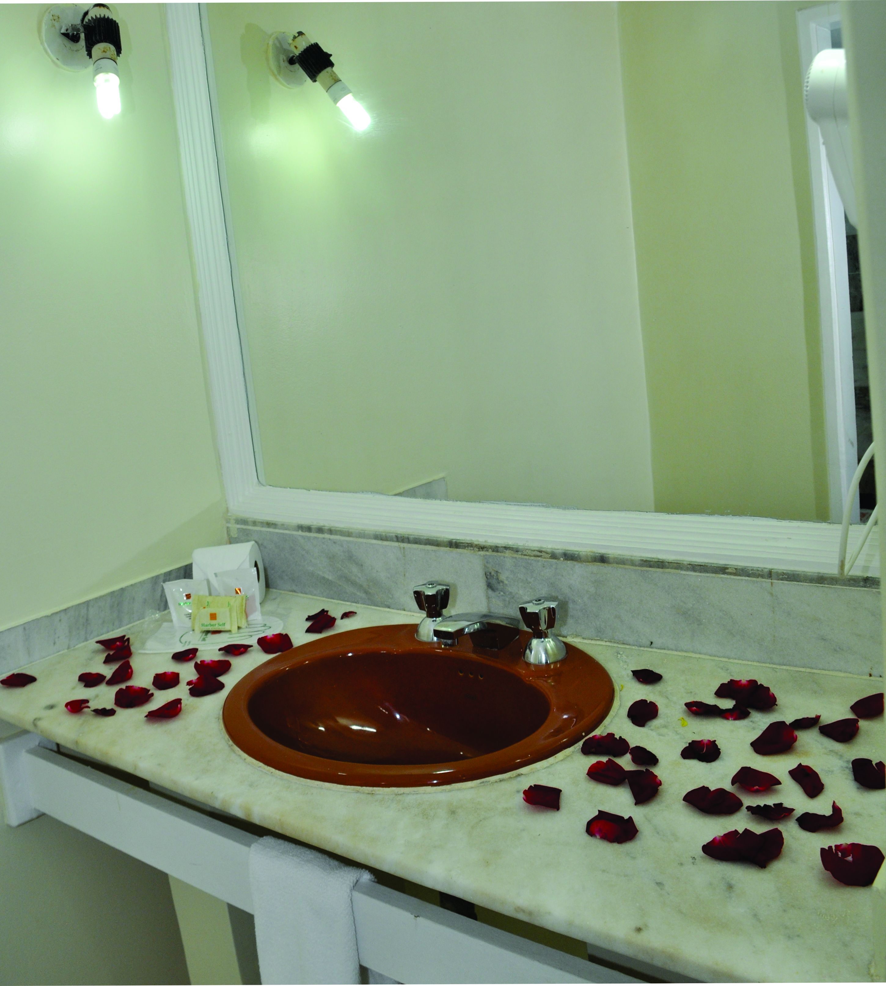 A bathroom with a marble sink, a mirror, and rose petals on the counter.