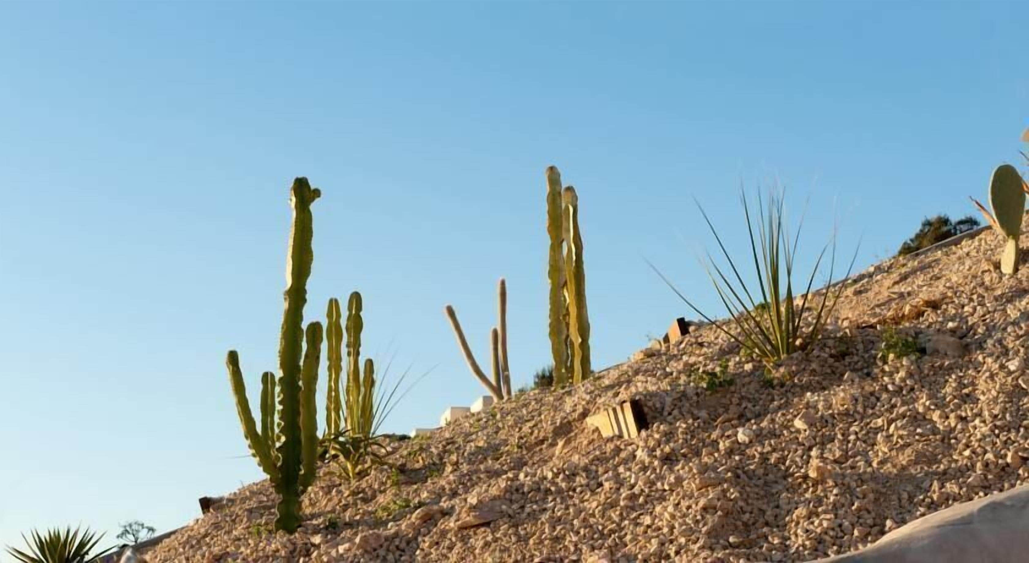 Foto - Santorini Heights