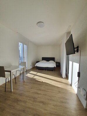 Desk, soundproofing, iron/ironing board, free WiFi - Swiss Star Wiedikon (Zürich)