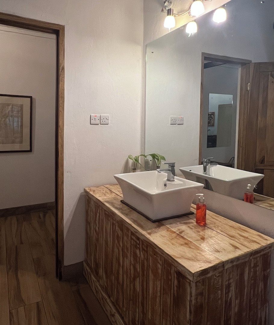 Un baño con tocador de madera, dos lavamanos, un espejo y una planta pequeña.